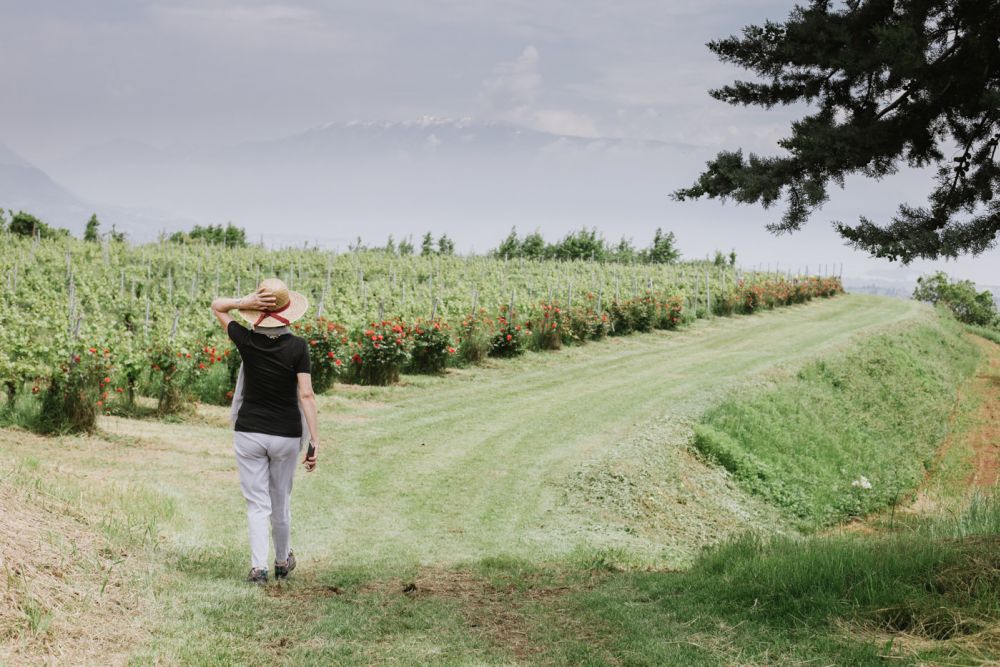patrizia marazzi - wine tour - italian ambassador italy4golf