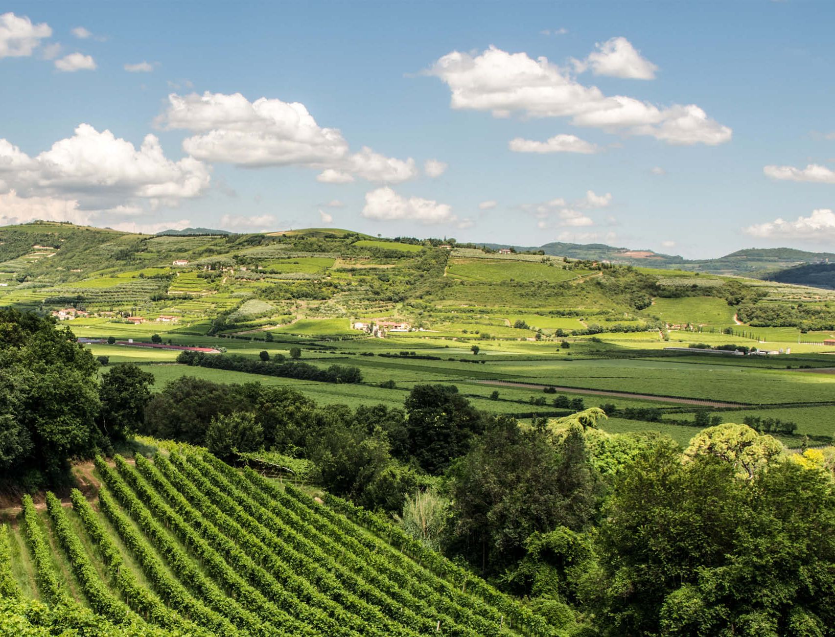 garda-valpolicella-vigneti-verona