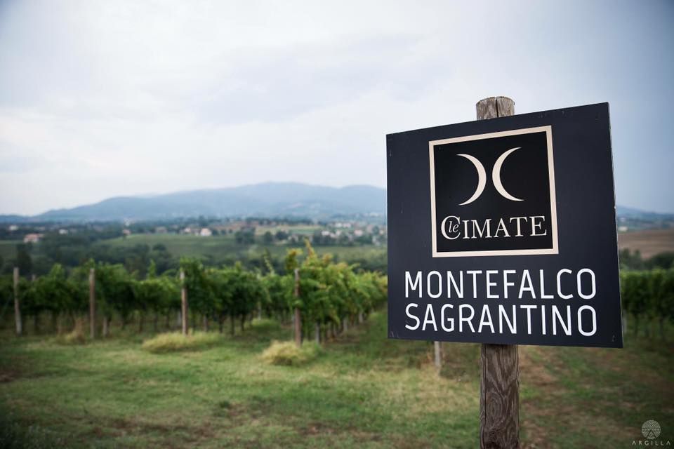 montefalco-sagrantino-cantina-le-cimate-italy4golf