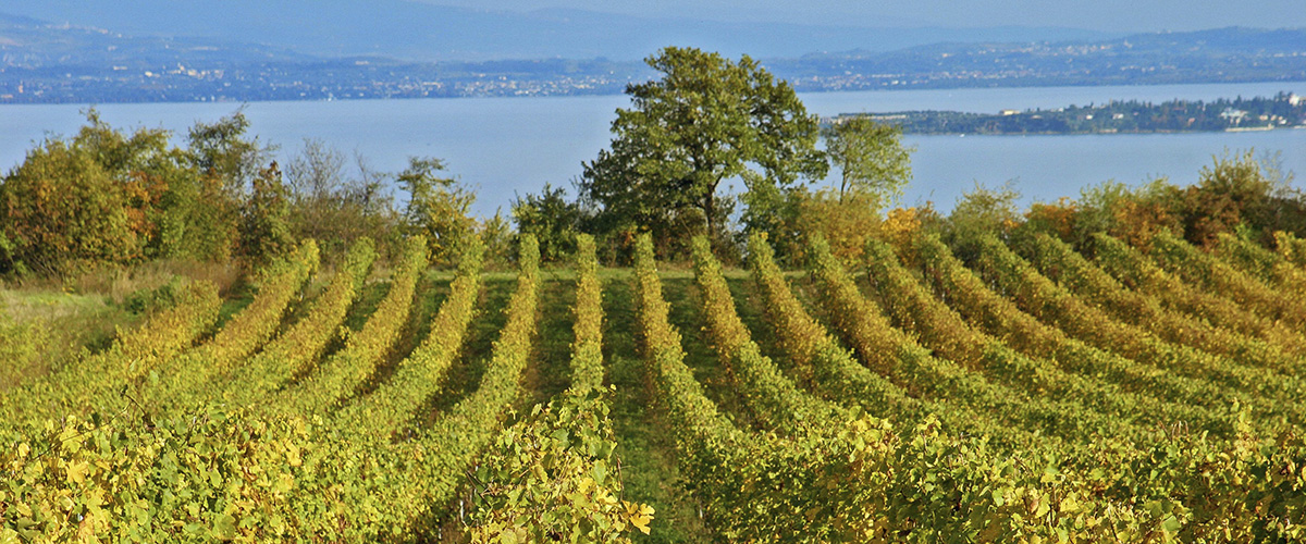 galleria-vittorio-emanuele-milano-personal-shopping-activity-italy4golf