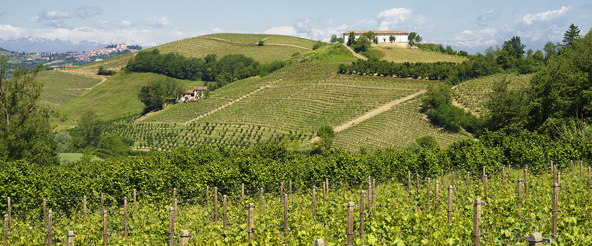 galleria-vittorio-emanuele-milano-personal-shopping-activity-italy4golf