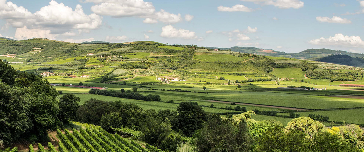 galleria-vittorio-emanuele-milano-personal-shopping-activity-italy4golf