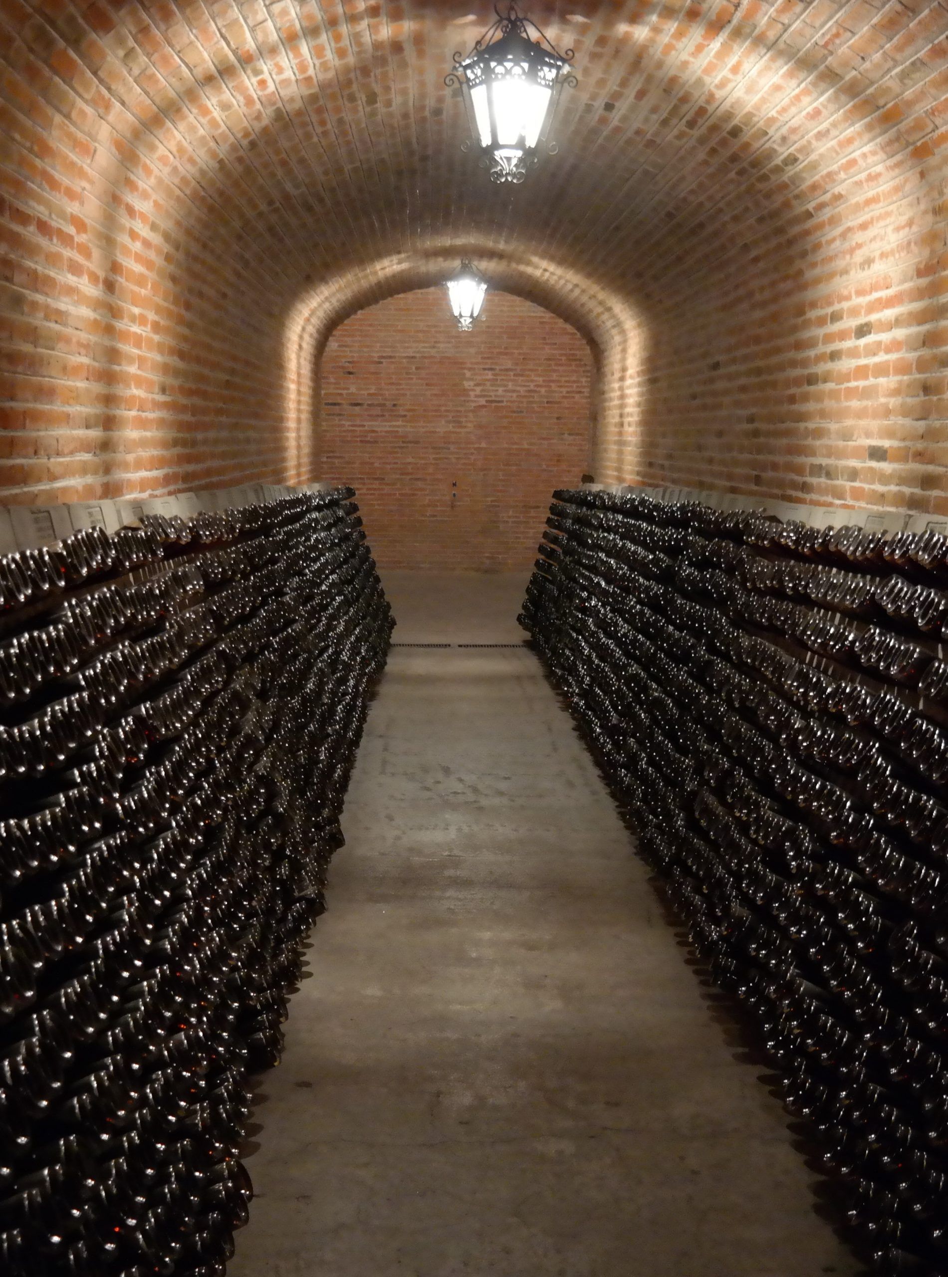 brunello-montalcino-2015-cantina-ceccarelli-italy4golf